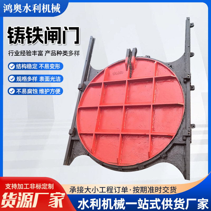 手电一体双止水机闸